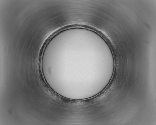 X0000113160879200909040951