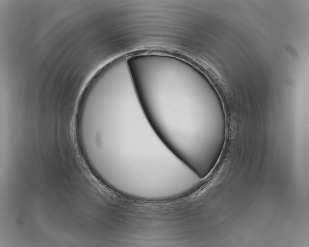 X0000113160880200909040951