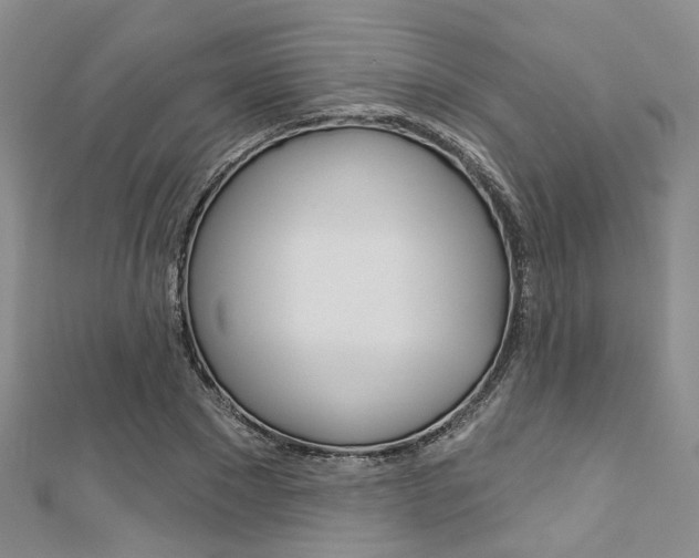 X0000113160881200909040951