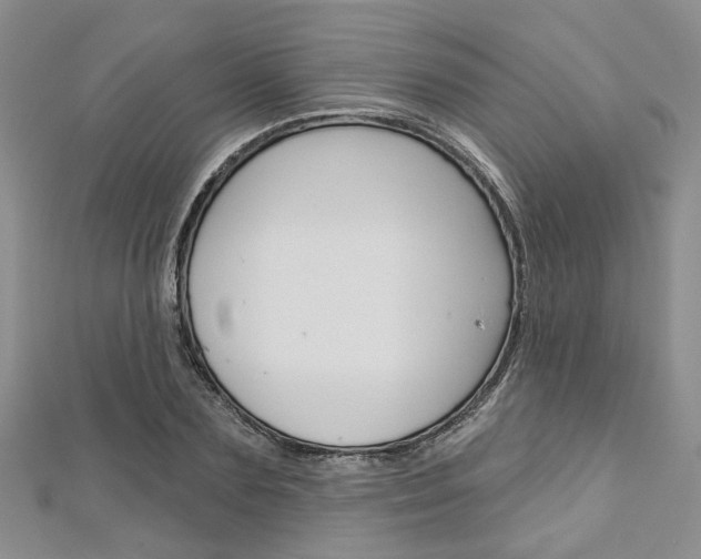 X0000113160883200909040951