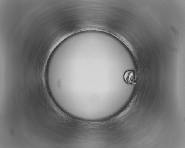 X0000113160885200909040950