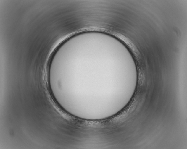 X0000113160886200909040950