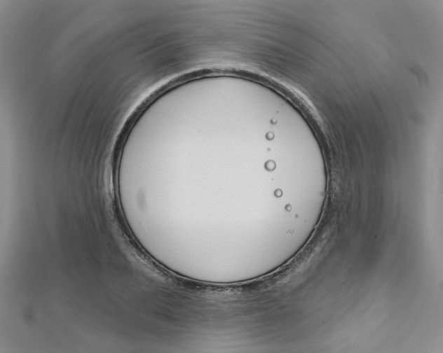 X0000113160887200909040950