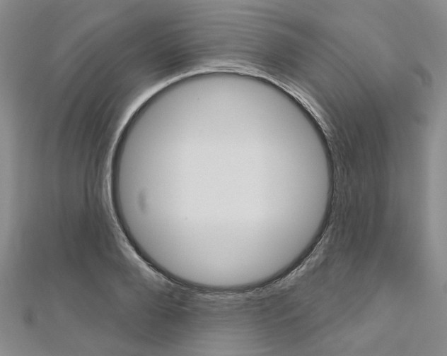 X0000113160888200909040950