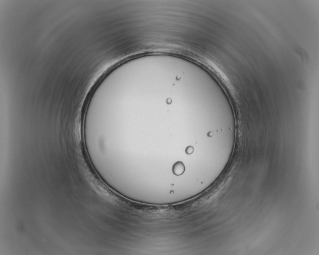 X0000113160891200909040950