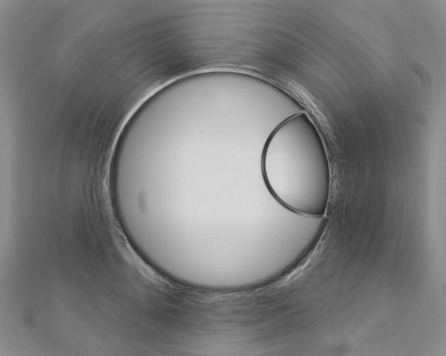 X0000113160892200909040950