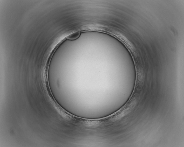 X0000113160893200909040950