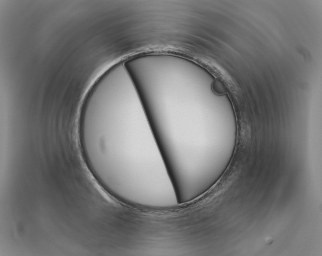 X0000113160894200909040950