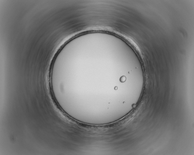 X0000113160895200909040950