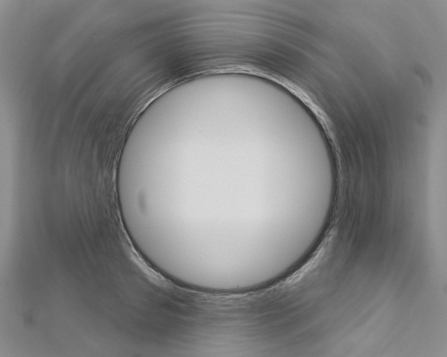 X0000113160897200909040950