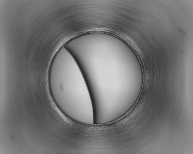X0000113160898200909040950