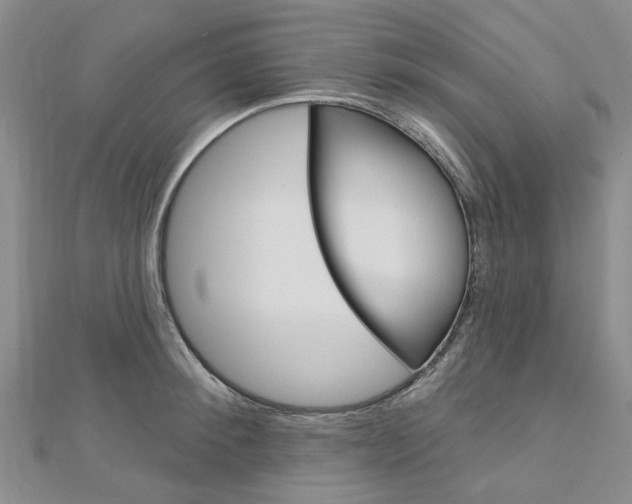 X0000113160900200909040950