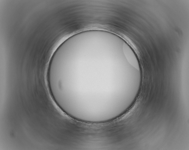 X0000113160901200909040950