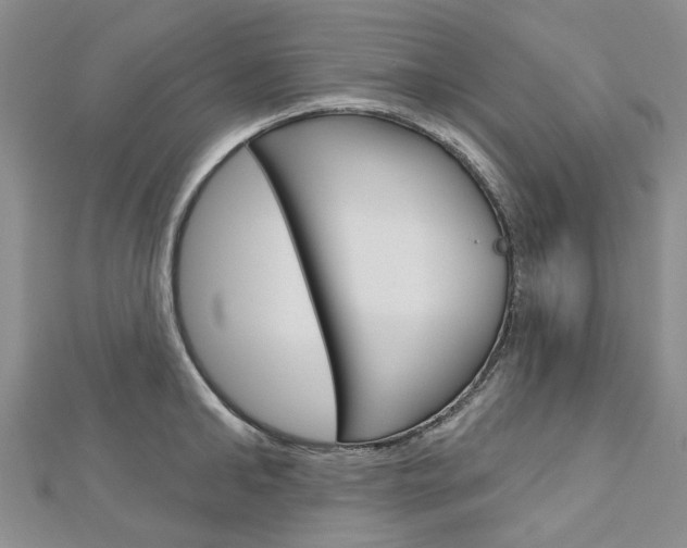X0000113160902200909040950