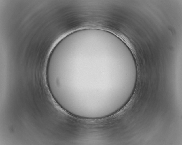X0000113160904200909040950