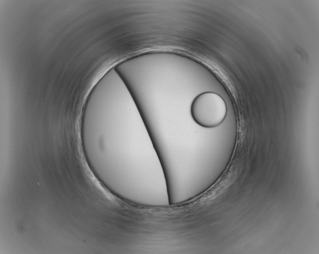 X0000113160906200909040950