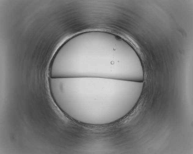 X0000113160907200909040950