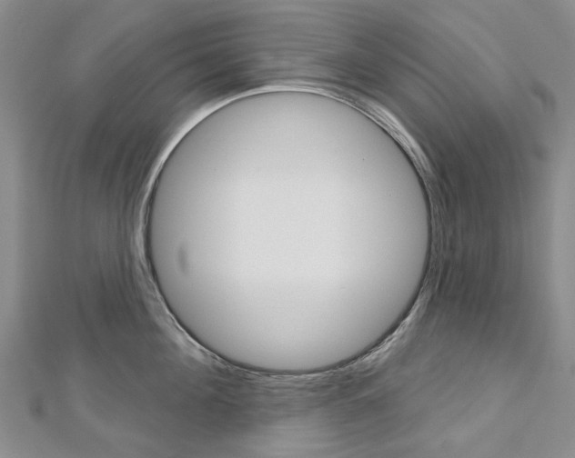 X0000113160908200909040950