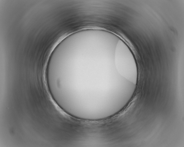 X0000113160909200909040950