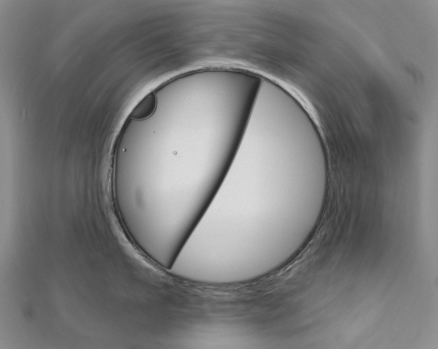 X0000113160911200909040950
