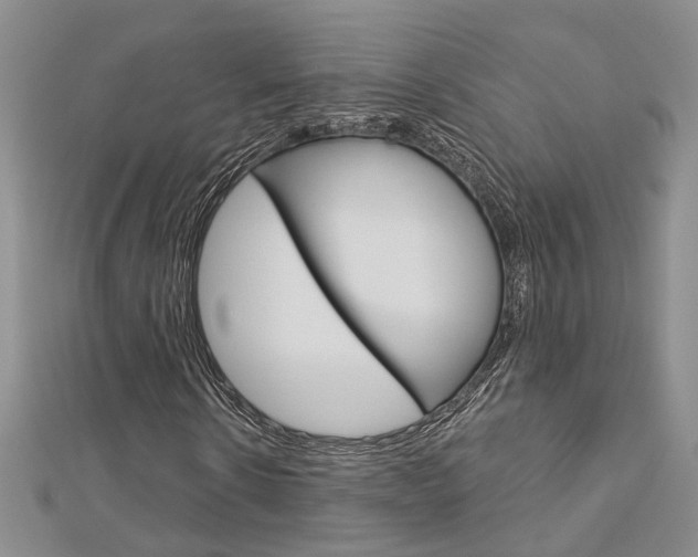 X0000113160914200909040949