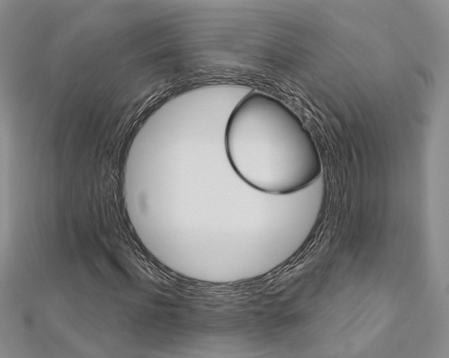 X0000113160916200909040949