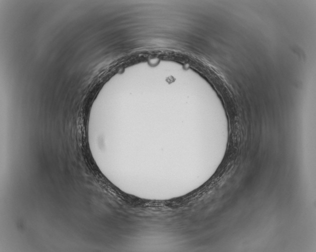 X0000113160918200909040949