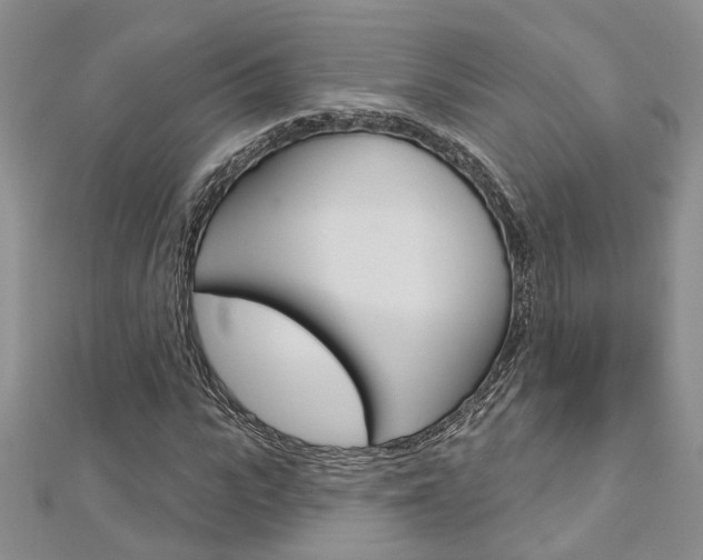 X0000113160919200909040949