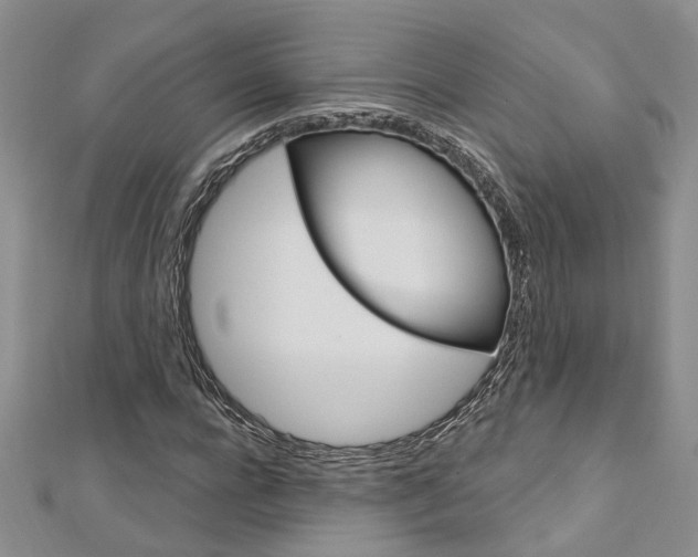 X0000113160920200909040949