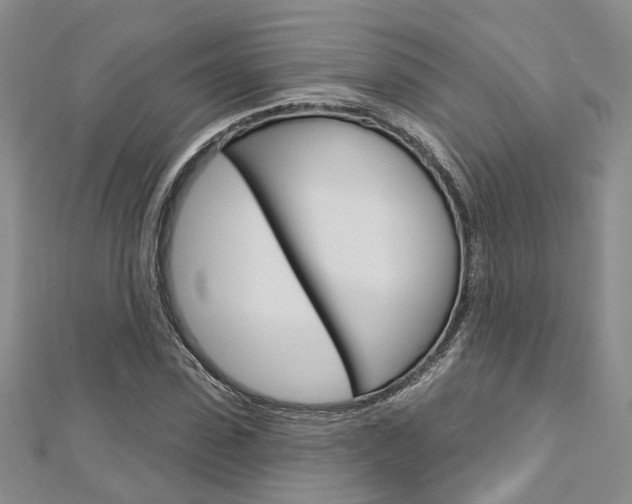 X0000113160923200909040949