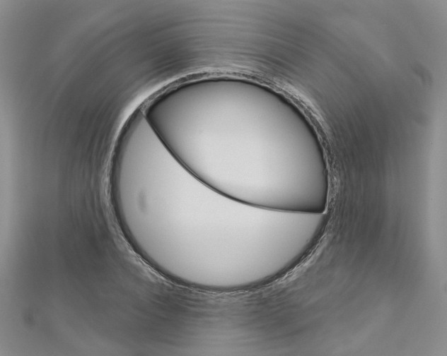X0000113160928200909040950