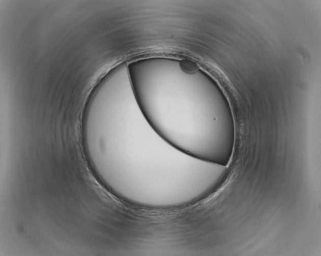 X0000113160930200909040950