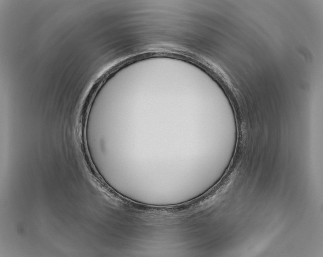X0000113160931200909040950
