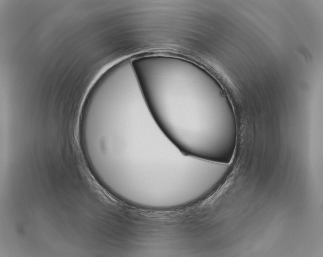X0000113160932200909040950