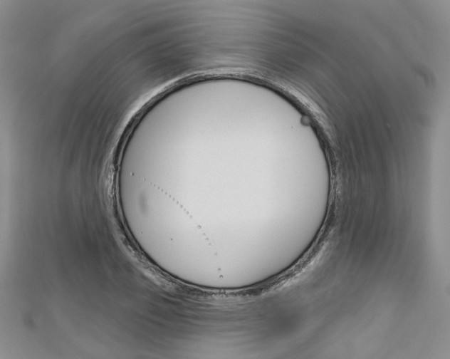 X0000113160933200909040950