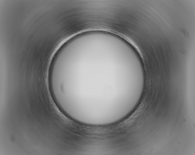 X0000113160935200909040950