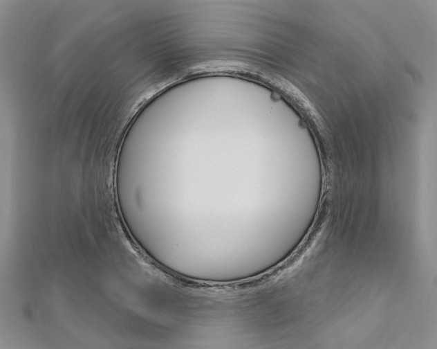 X0000113160937200909040950