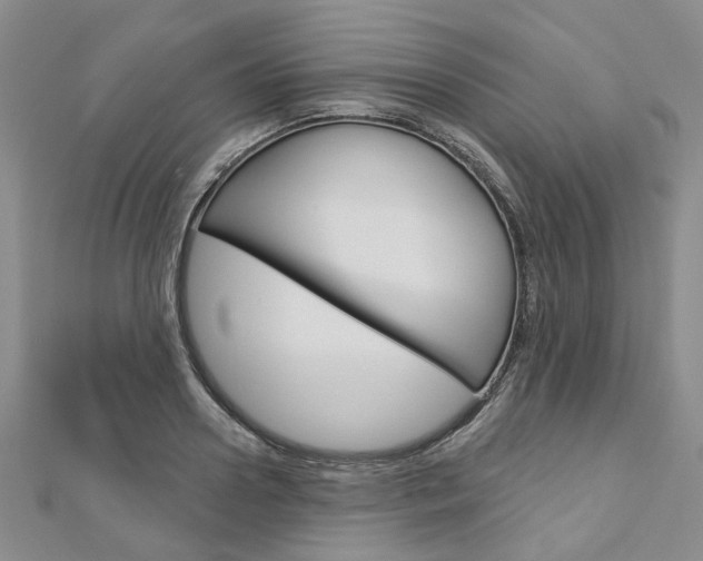 X0000113160938200909040950