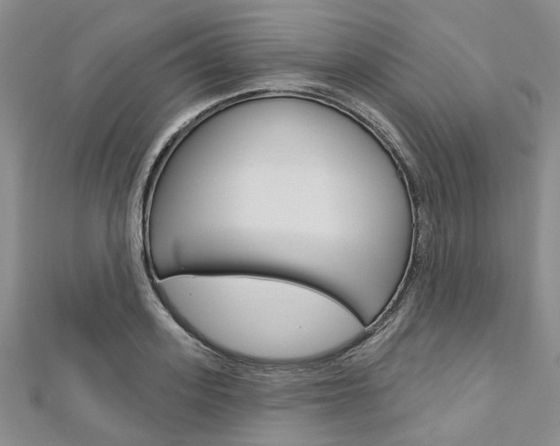 X0000113160939200909040950