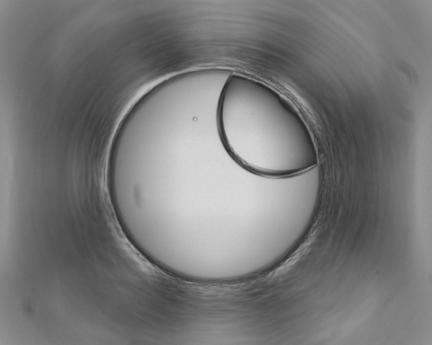 X0000113160940200909040950