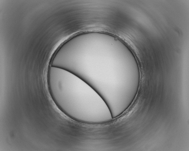 X0000113160941200909040950