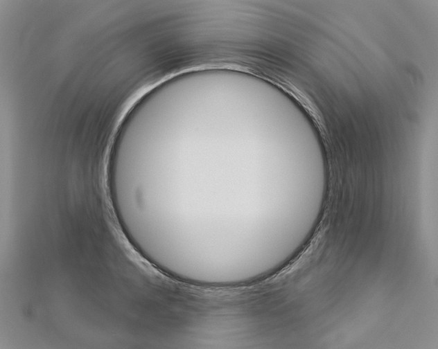 X0000113160944200909040950