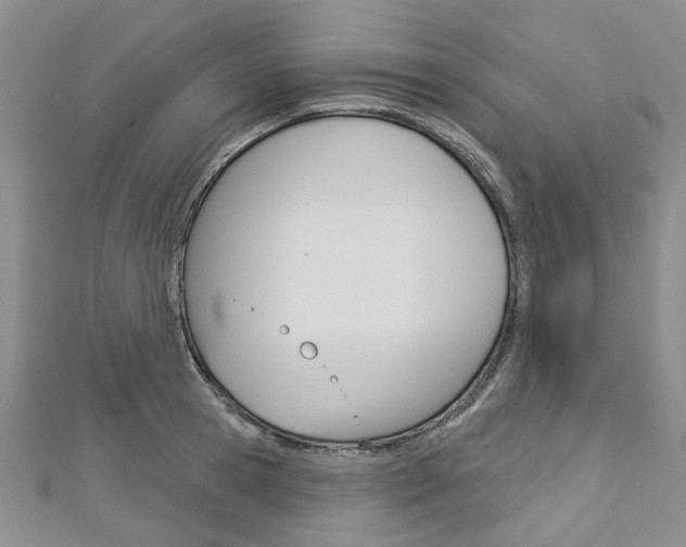 X0000113160945200909040950