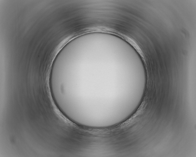 X0000113160946200909040950