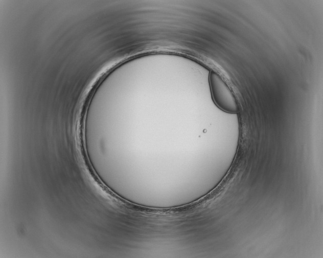 X0000113160947200909040950