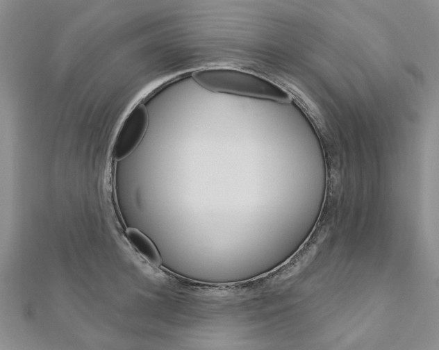 X0000113160948200909040950