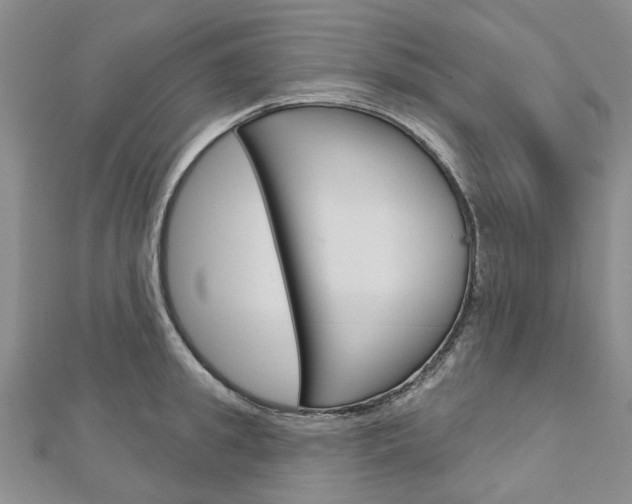 X0000113160949200909040950