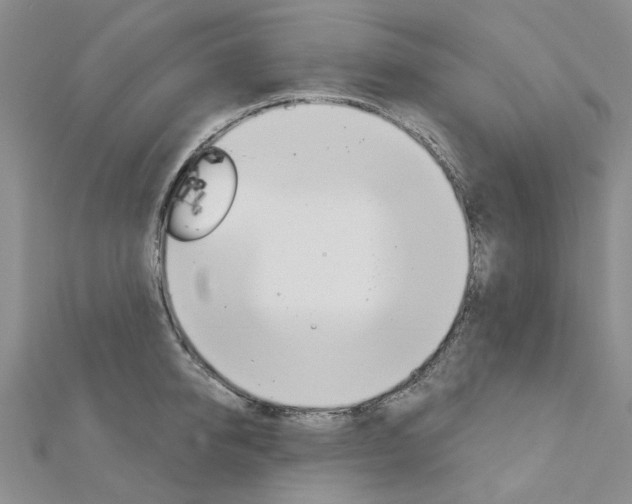 X0000113160950200909040950