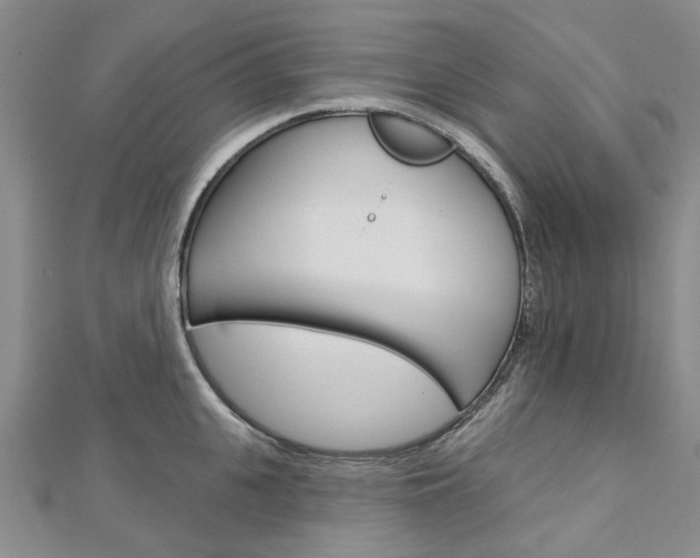 X0000113160951200909040950
