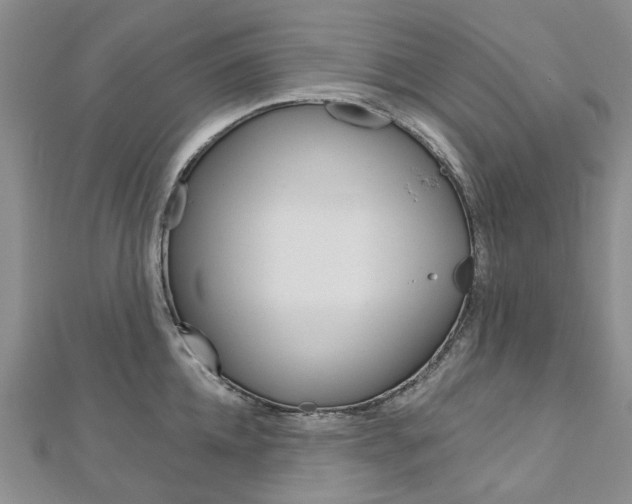 X0000113160952200909040950